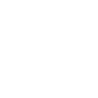 Hair dryer (Free)